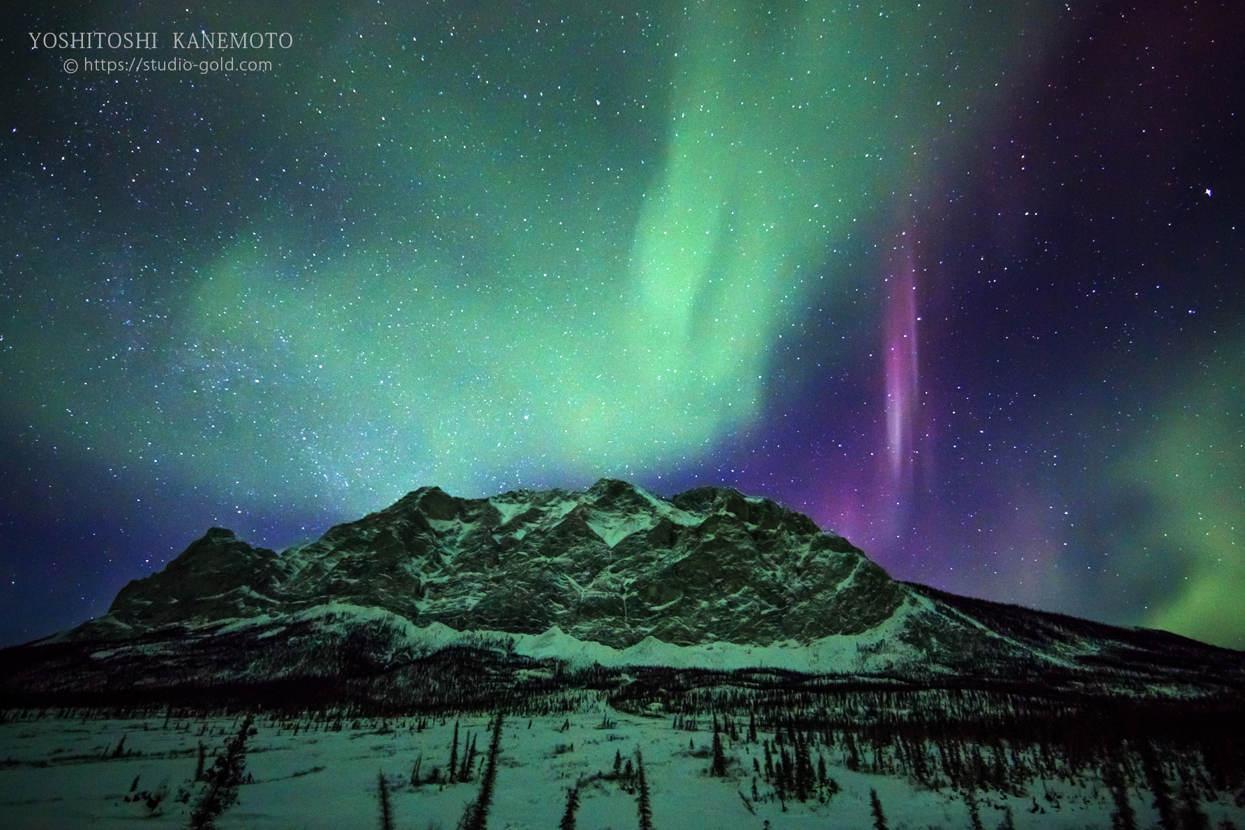 オーロラ カメラマン 写真家 アラスカ 金本孔俊 yoshitoshi kanemoto スタジオゴールド 春日野道 神戸 兵庫県 癒し オーロラハンター 絶景 奇跡 夜空 フェアバンクス 北極圏　写真教室