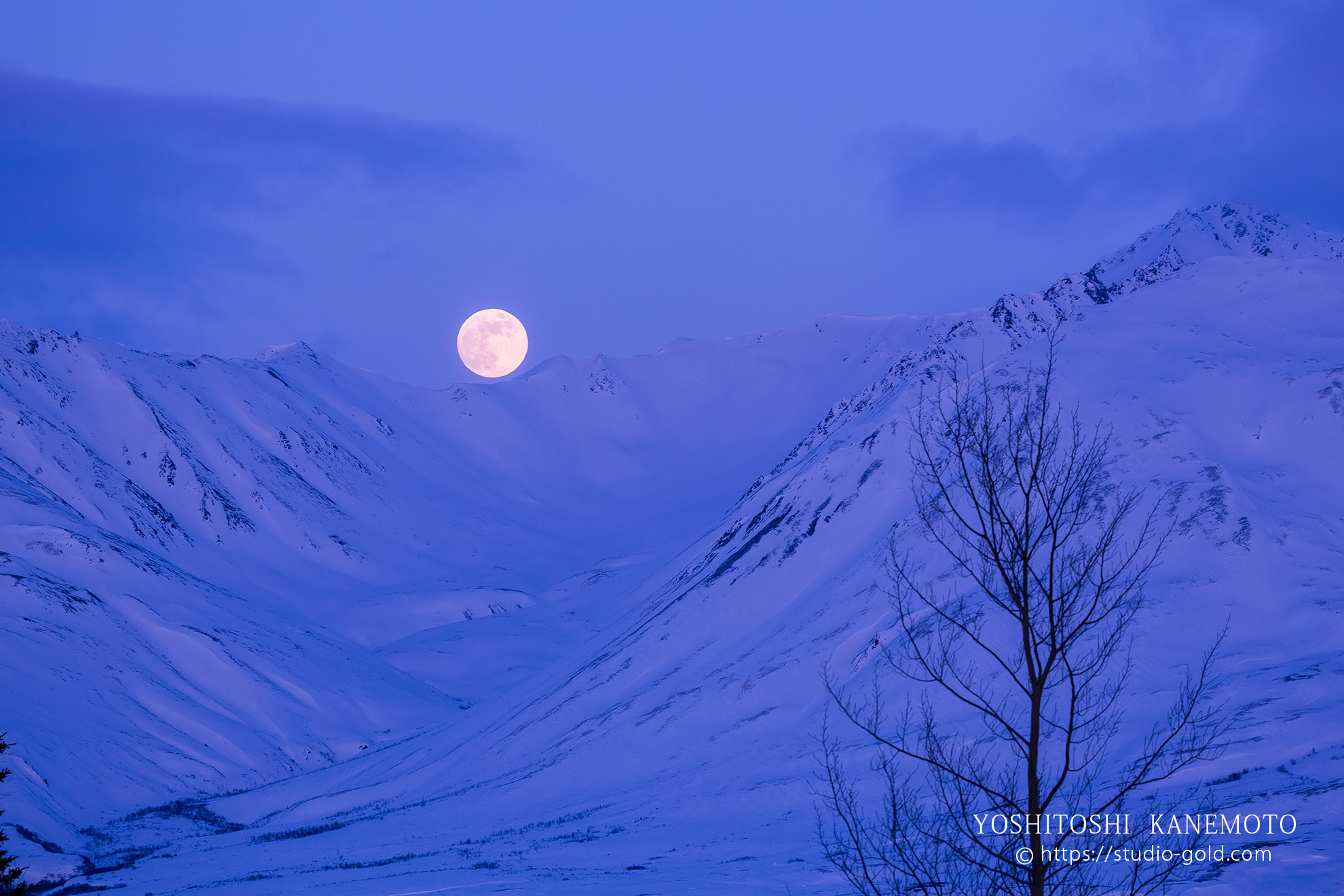 オーロラ カメラマン 写真家 アラスカ 金本孔俊 yoshitoshi kanemoto スタジオゴールド 春日野道 神戸 兵庫県 癒し オーロラハンター 絶景 奇跡 夜空 フェアバンクス 北極圏　写真教室