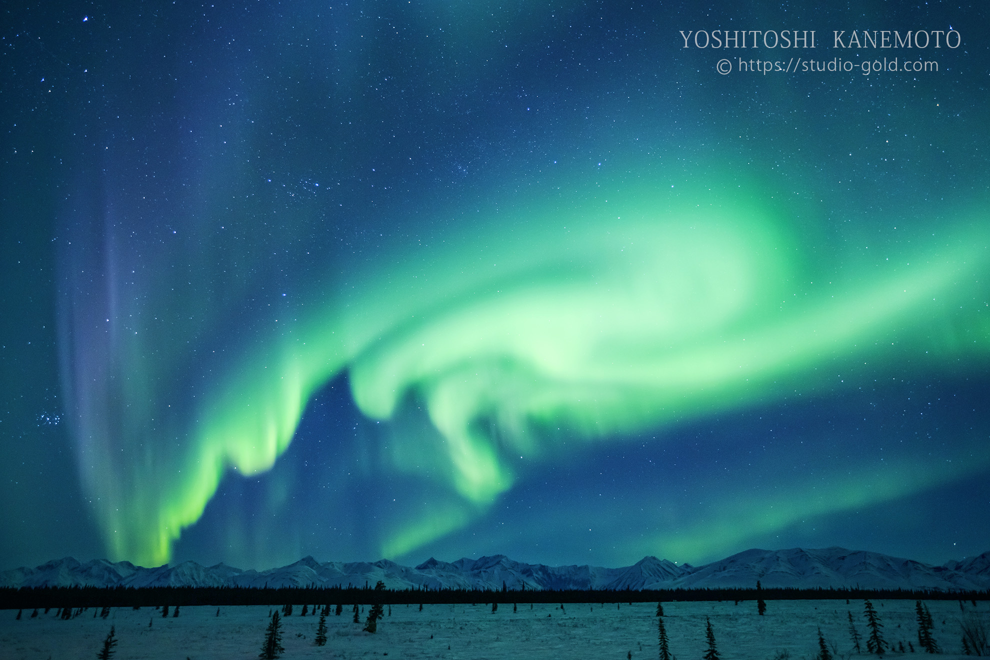 オーロラ カメラマン 写真家 アラスカ 金本孔俊 yoshitoshi kanemoto スタジオゴールド 春日野道 神戸 兵庫県 癒し オーロラハンター 絶景 奇跡 夜空 フェアバンクス 北極圏　写真教室